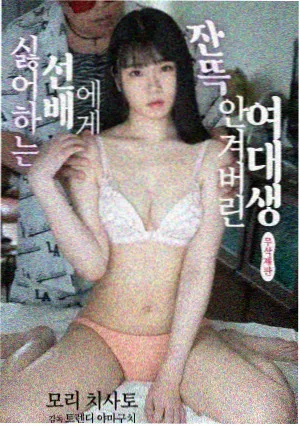 边境列车电视剧高清剧集在线观看封面